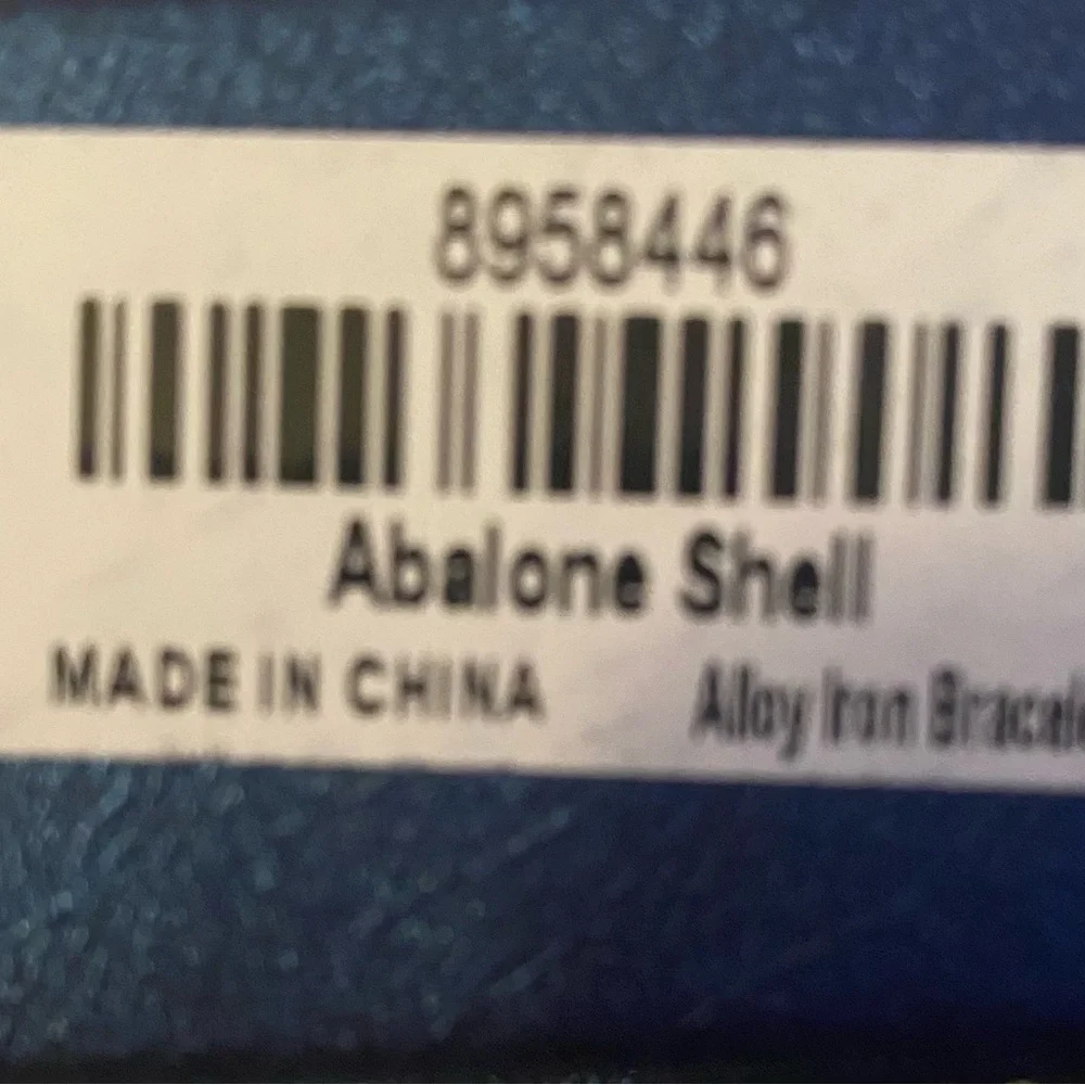 Abalone Shell Oval Shaped Link Bracelet